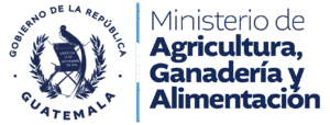 Logotipo-MAGA-2024-2028_AZUL_H